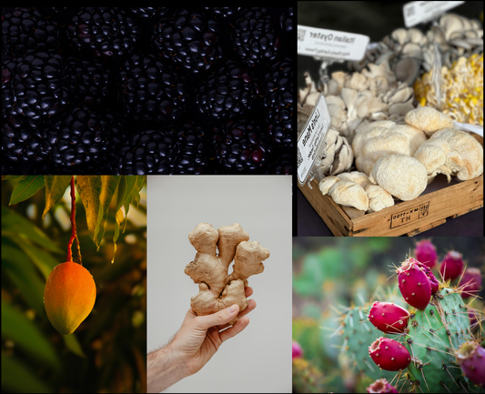 The Power of Ingredients: Inside Every Lorea Blend 🌿