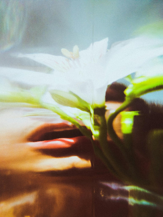 Lorea Means Flower 🌸 The Story Behind Our Name